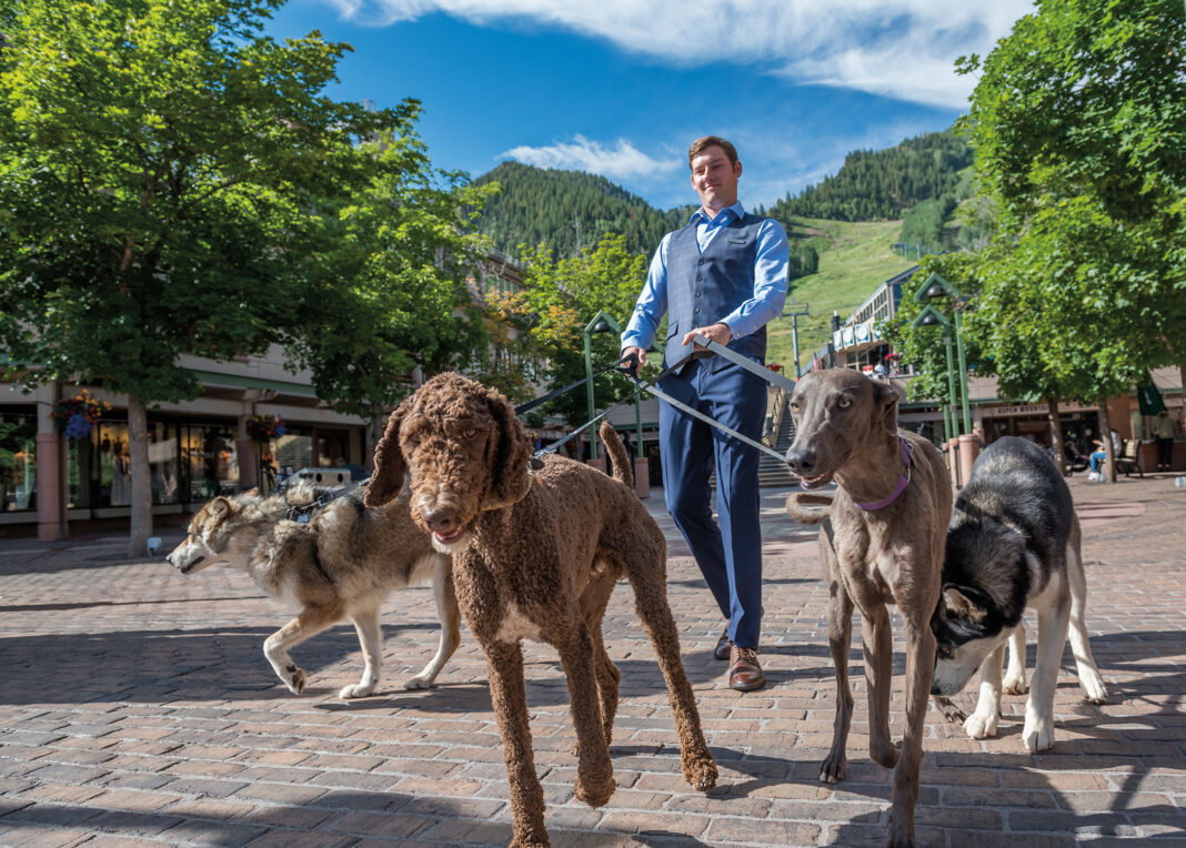 The Best Dog-Friendly Hotels in Aspen